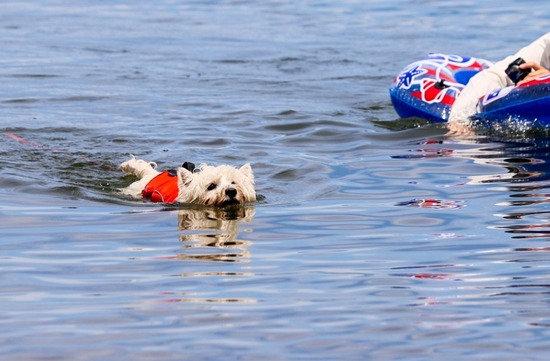 猪苗代湖にいきました！