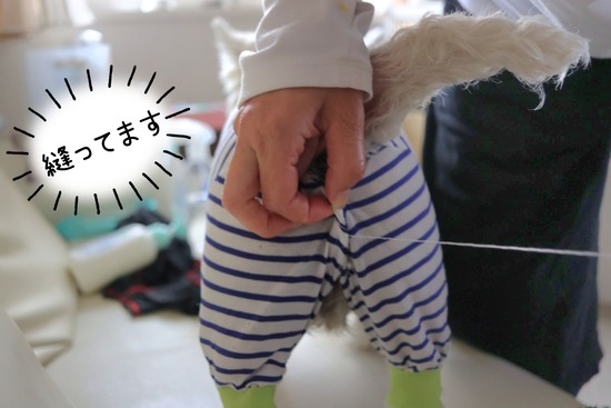 おしりズリズリ対策