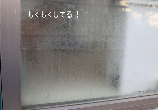 24-12-12-07-28-07-214_deco