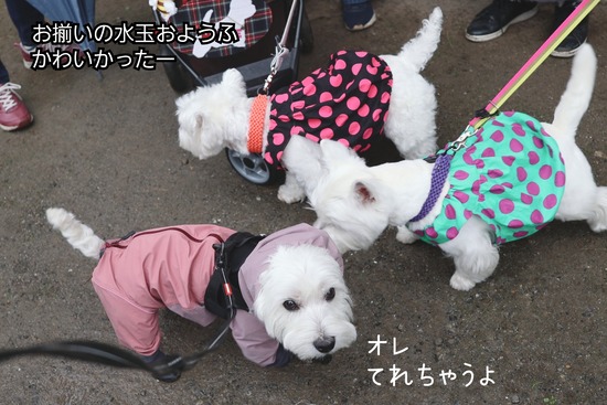 25-10-30-10-04-31-005_deco