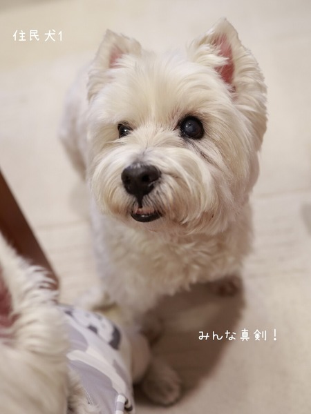 26-01-07-12-07-06-604_deco