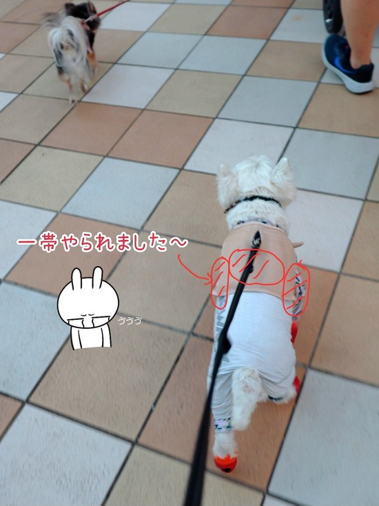 24-08-31-07-17-27-162_deco