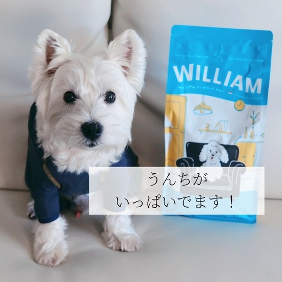 New ドッグフード : たかシェフのおうちごはん。と、白い犬。と