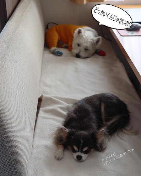 25-11-30-15-05-46-541_deco