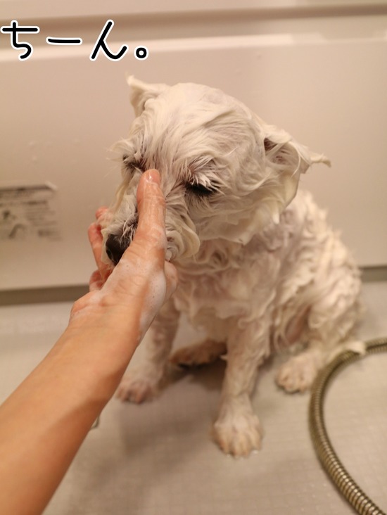 21-09-23-13-25-22-453_deco