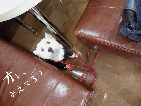 20-06-20-06-31-02-007_deco