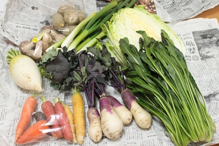 ■お野菜の宅配　　～アグリマートの百菜劇場～