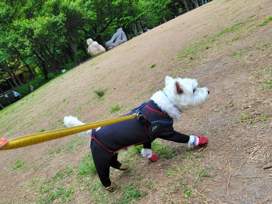 22-05-13-09-58-34-387_deco