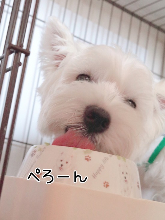 21-12-03-21-10-01-703_deco