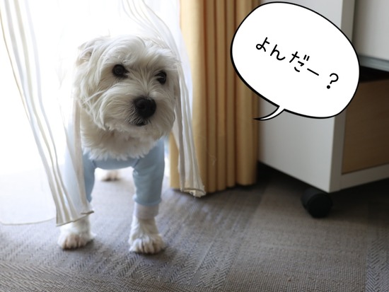 22-05-10-11-48-25-657_deco