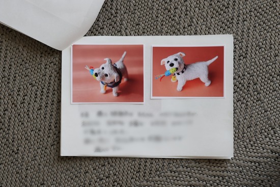 Point Blur_20221230_173900