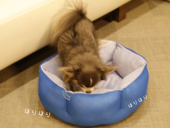 21-10-11-07-51-42-055_deco