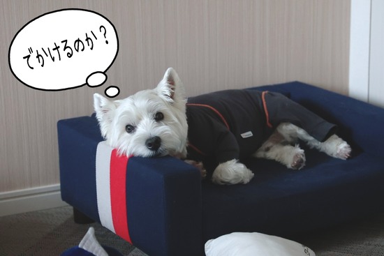 24-06-08-13-40-46-227_deco