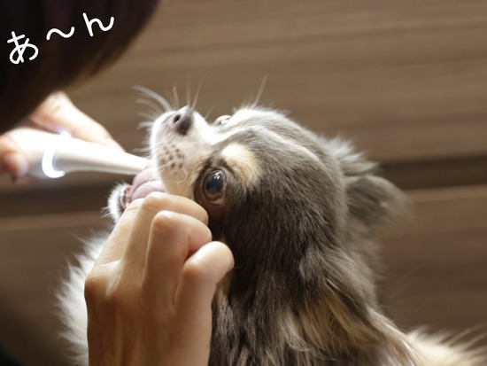 24-08-20-09-59-55-216_deco