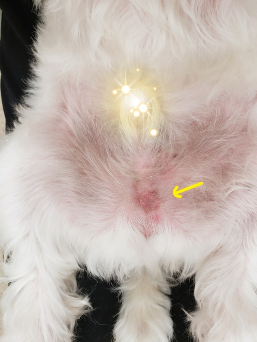 19-08-13-22-18-26-171_deco