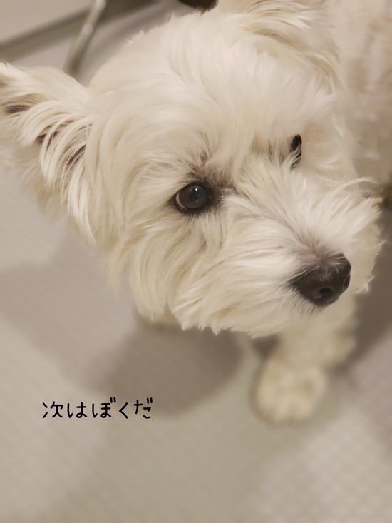 21-12-08-14-13-35-078_deco