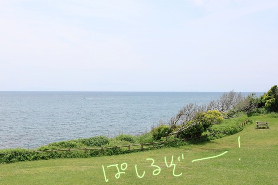22-06-02-23-16-41-411_deco