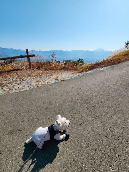 ほったらかしキャンプ場　～ぜんぜん、ほったらかしじゃないんだけれどね～
