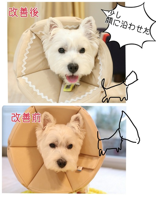 [画像:70baf11c-s.jpg]