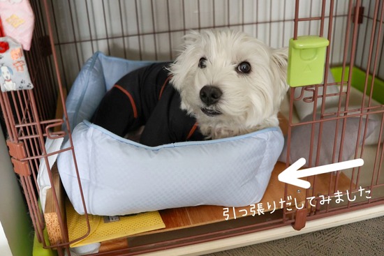 24-12-12-07-02-06-288_deco