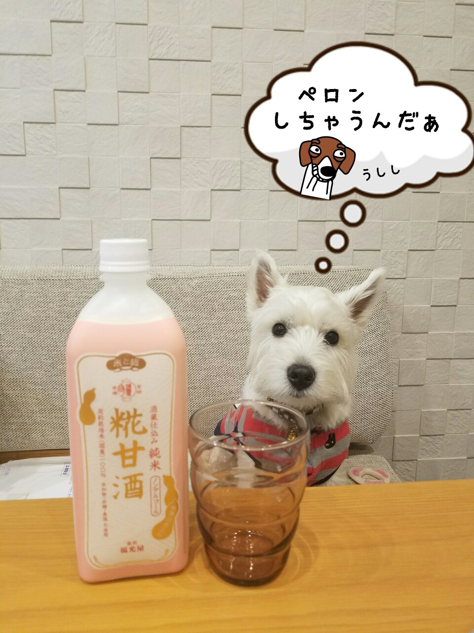 甘酒と剣道大会 たかシェフのおうちごはん と 白い犬 と チワワ Powered By ライブドアブログ 甘酒と剣道大会 たかシェフのおうちごはん と 白い犬 と チワワ Powered By ライブドアブログ