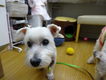 t02200165_0800060012845296212 (1)