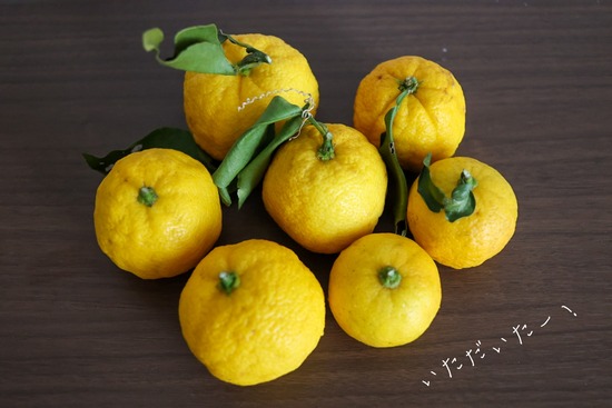 24-12-26-11-28-45-444_deco