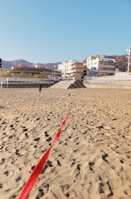 【犬とおでかけ】びよーん。