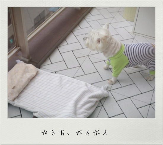 22-07-02-12-10-18-161_deco