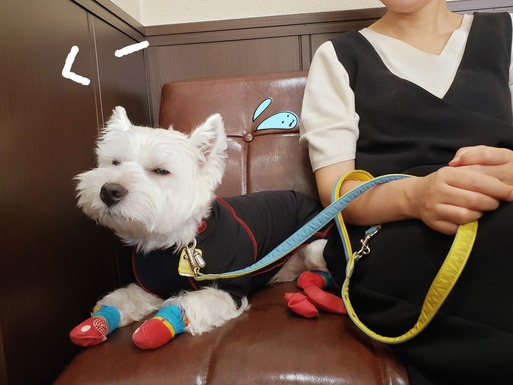 19-07-16-15-03-04-986_deco