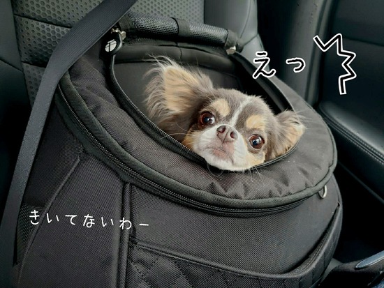 歯医者さんの日