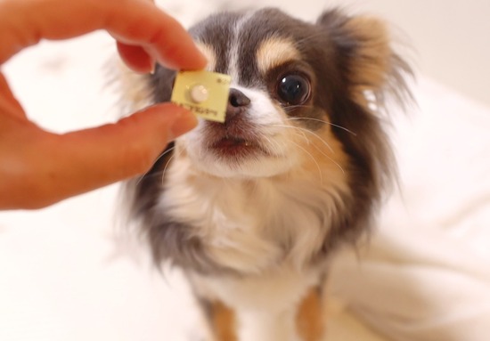 23-05-14-21-36-58-802_deco