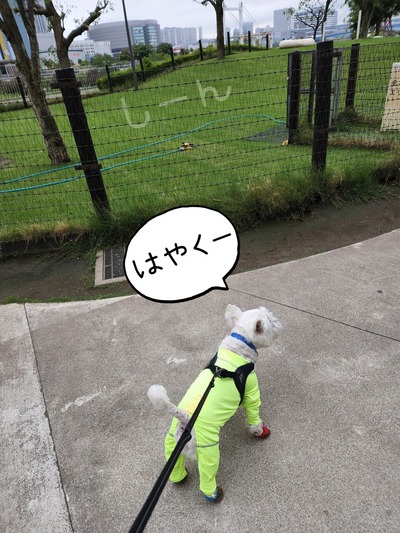 22-06-23-21-33-23-088_deco