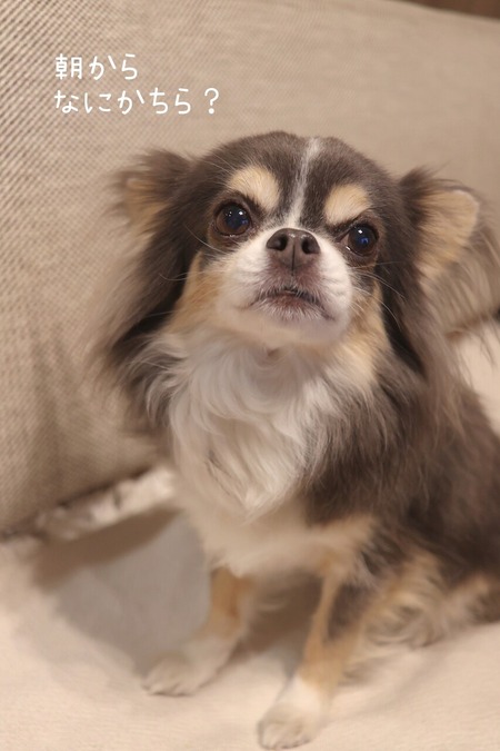 まりちゃん、どした？