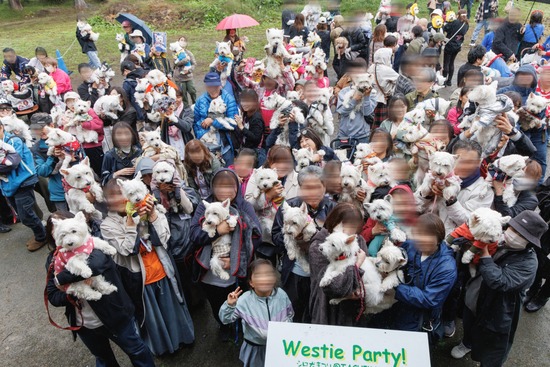 25-11-04-21-16-24-754_deco