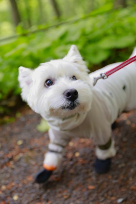 24-05-30-14-07-00-750_deco