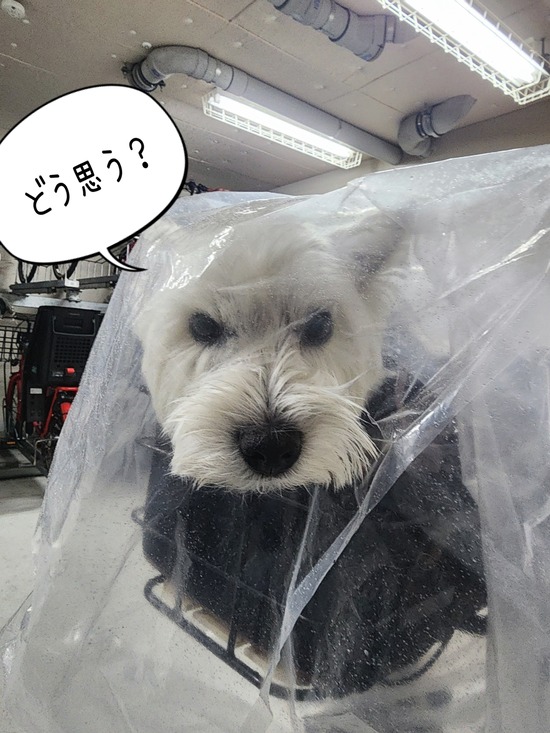 土砂降りの日に床屋へ連行されたオレの話。〜自転車とビニールと鼻の惨事〜