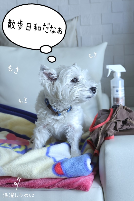 22-03-14-08-42-49-976_deco