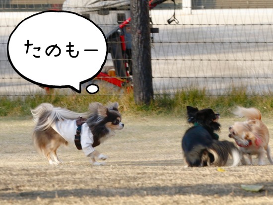 21-12-02-16-27-04-061_deco