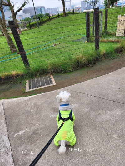 22-06-23-21-34-13-735_deco