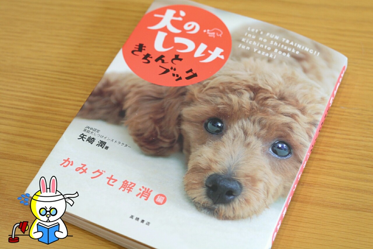 しつも ん ガブするワンコとガブしないワンコ たかシェフのおうちごはん と 白い犬 と チワワ Powered By ライブドアブログ しつも ん ガブするワンコとガブしないワンコ たかシェフのおうちごはん と 白い犬 と チワワ Powered By ライブドアブログ