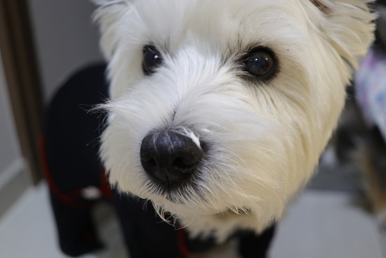 25-12-17-19-03-15-883_deco