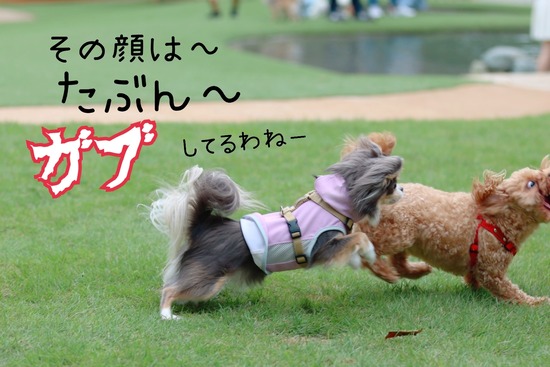 この子は、たぶん正義感が強い。