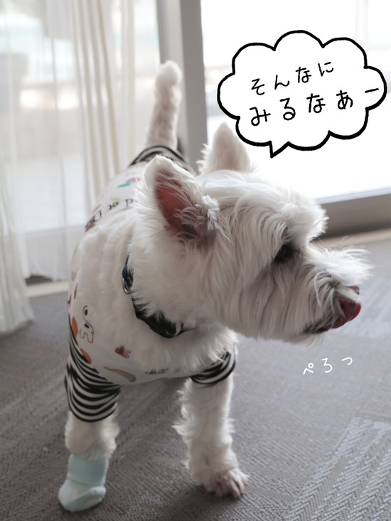 20-08-21-15-55-20-646_deco