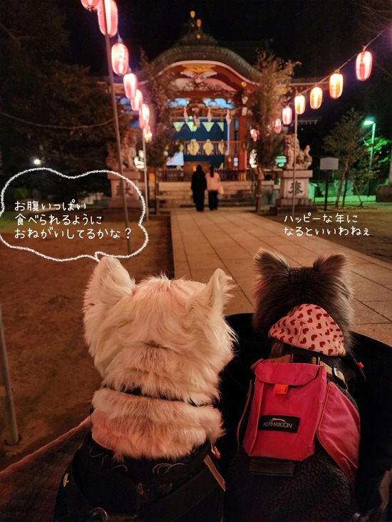 26-01-09-06-24-45-098_deco