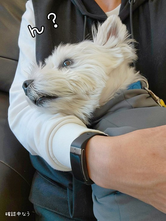 21-12-02-13-38-30-317_deco