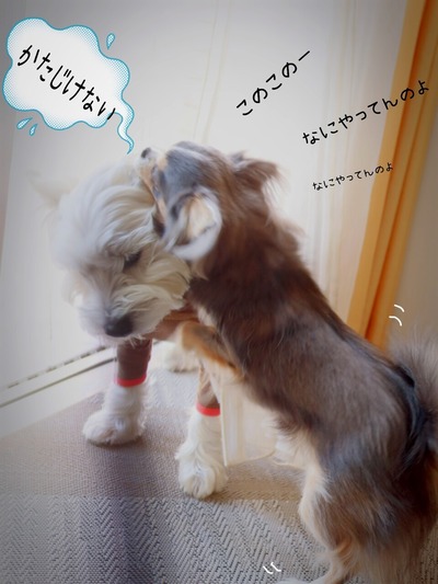 21-12-12-18-26-38-434_deco