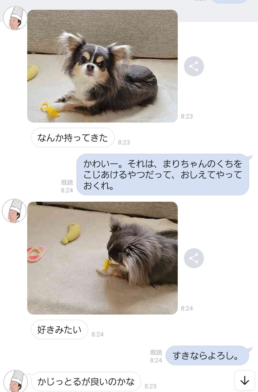 Tx12qbp8miu5sm