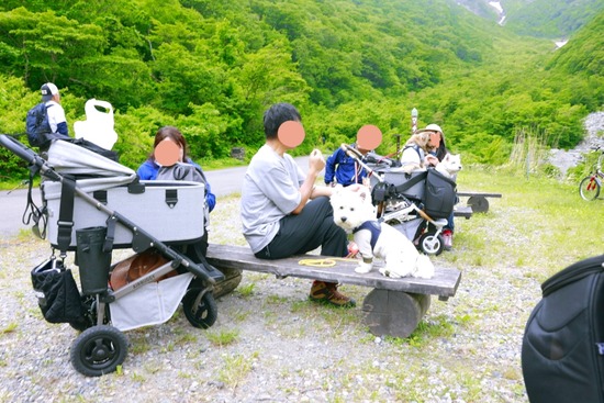 24-06-06-20-22-21-188_deco