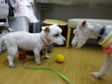 t02200165_0800060012845296211